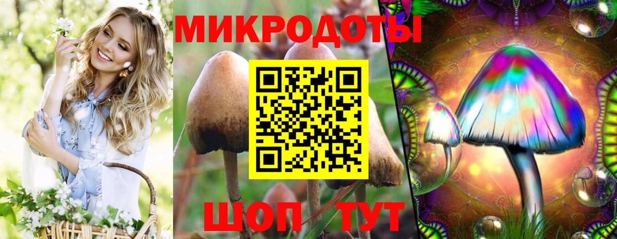 Псилоцибиновые грибы Magic Shrooms  где купить   Пушкино  Вход с VPN 